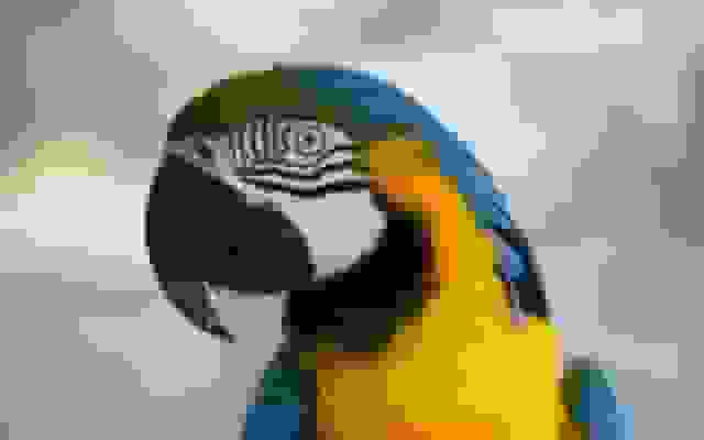 آموزش LangGraph: قسمت دوم - ساخت اولین گراف Hello World