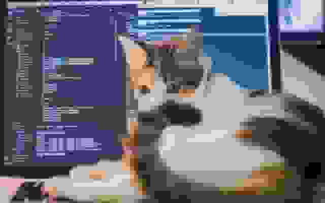 ساخت یک اپلیکیشن Full Stack تنها با استفاده از Vibe Coding: اینجا اتفاق افتاد