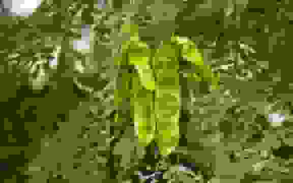 دستورالعمل دیباگ کوبرنتیز: گام‌های عملی برای تشخیص پادها مانند یک حرفه‌ای