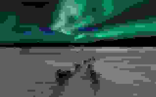 درک و بهینه‌سازی دیتابیس گلوبال AWS Aurora