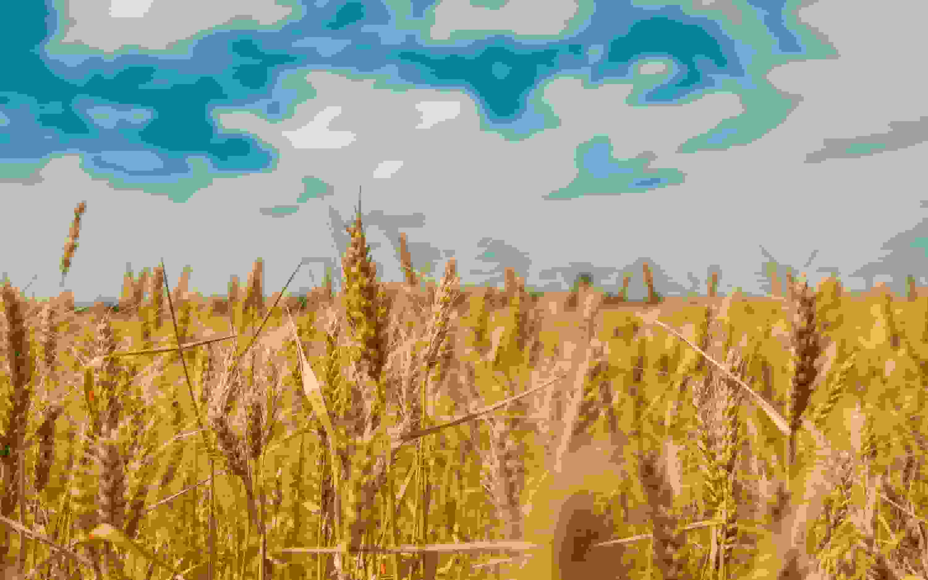 مجازی‌سازی SUSE بر روی معماری Arm64 با هاروستر: کلید مدرنسازی زیرساخت‌ها