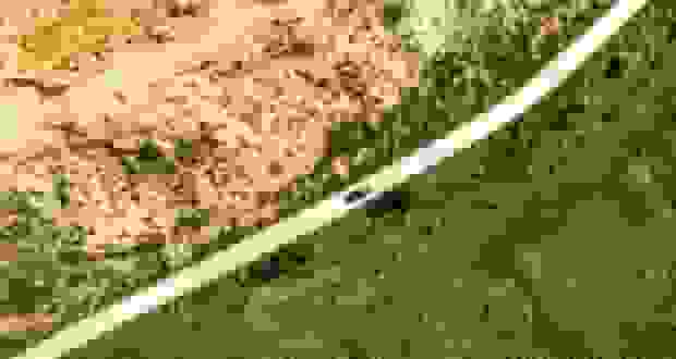 دیوار سبز بزرگ چین؛ بزرگترین جنگل مصنوعی جهان در برابر بیابان‌زایی