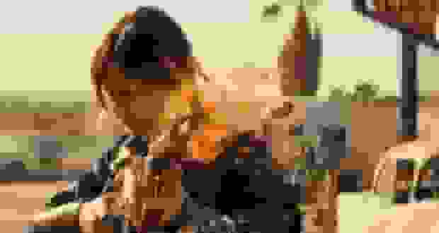 نمره کامل ۱۰۰ درصد فصل دوم سریال Fallout در راتن تومیتوز