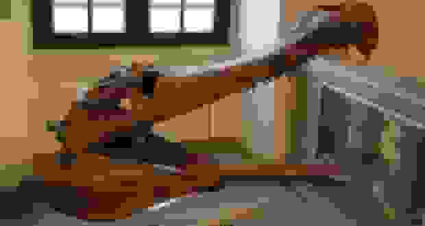 کشف قدیمی‌ترین جد تمساح‌سانان پوزه‌باریک ۸۰ میلیون ساله در مصر