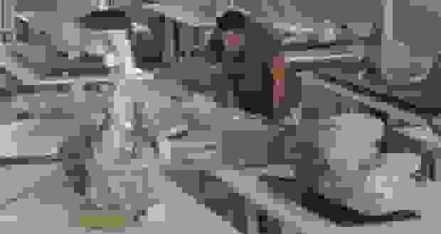 راز لباس‌های زمستانی قربانیان پمپئی و احتمال بازنویسی تاریخ فوران وزوویوس