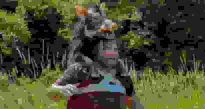 انتشار تریلر فیلم آناکوندا با بازی جک بلک و پل راد