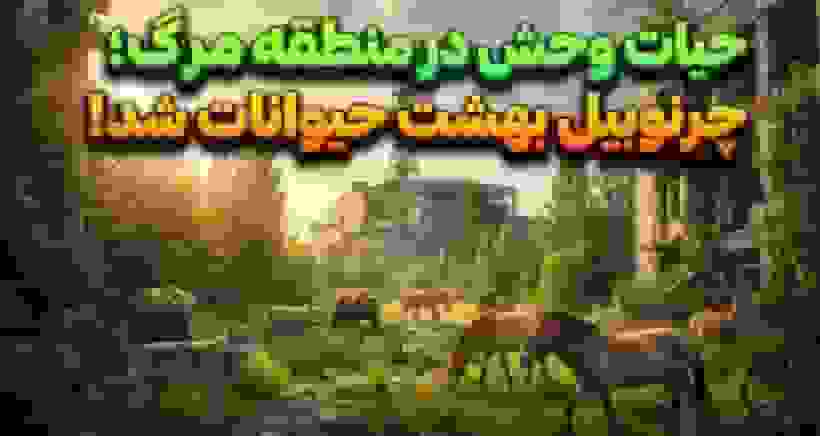 چرنوبیل: بهشت حیوانات در منطقه ممنوعه