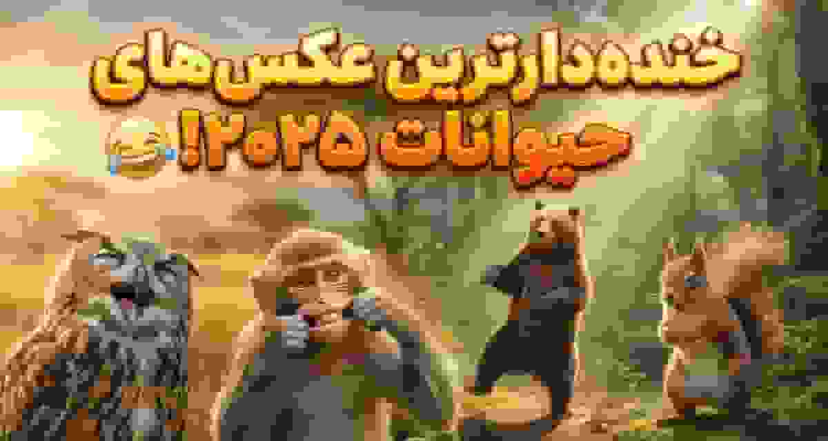 برندگان مسابقه عکس حیات وحش کمدی ۲۰۲۵ معرفی شدند