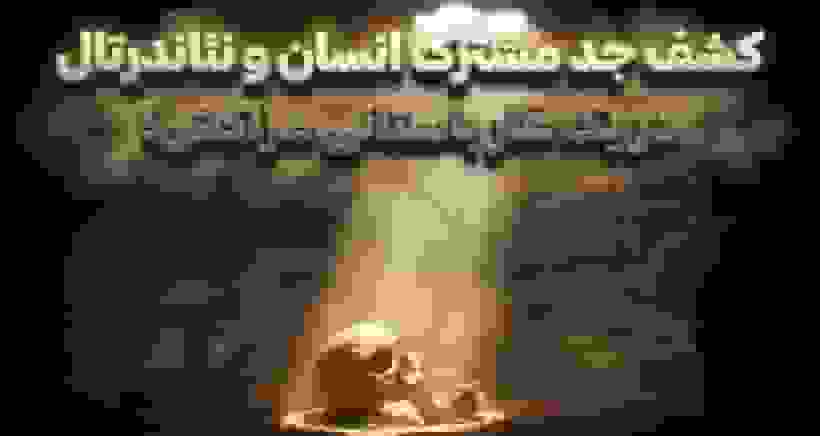 کشف فسیل‌های ۷۷۳ هزارساله جد مشترک انسان و نئاندرتال در مراکش