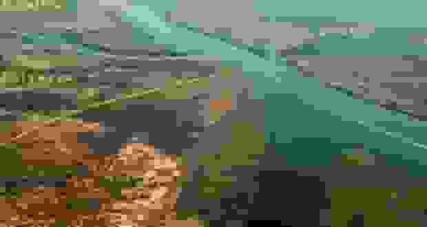 کشف ریشه تمام انسان‌ها در جنوب آفریقا