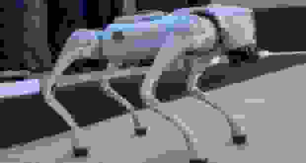 سگ‌های رباتیک هوشمند برای تأمین امنیت جام جهانی ۲۰۲۶ در مکزیک