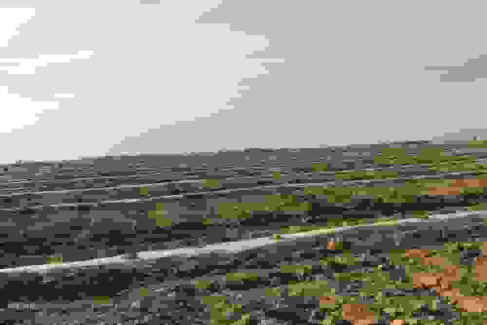 اجرای الگوی نوین کشت چندمنظوره در اراضی ایلام