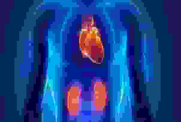 سندرم قلبی عروقی-کلیوی-متابولیک (CKM): مرگبارترین سندرم ناشناخته