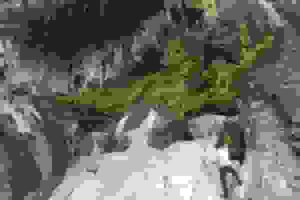 حال و هوای تنگه بهرام چوبین دره شهر پس از بارش باران