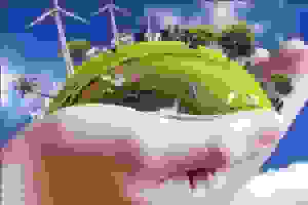 موفقیت جهانی پژوهشگر دانشگاه تربیت مدرس در تولید سوخت پاک از زیست توده