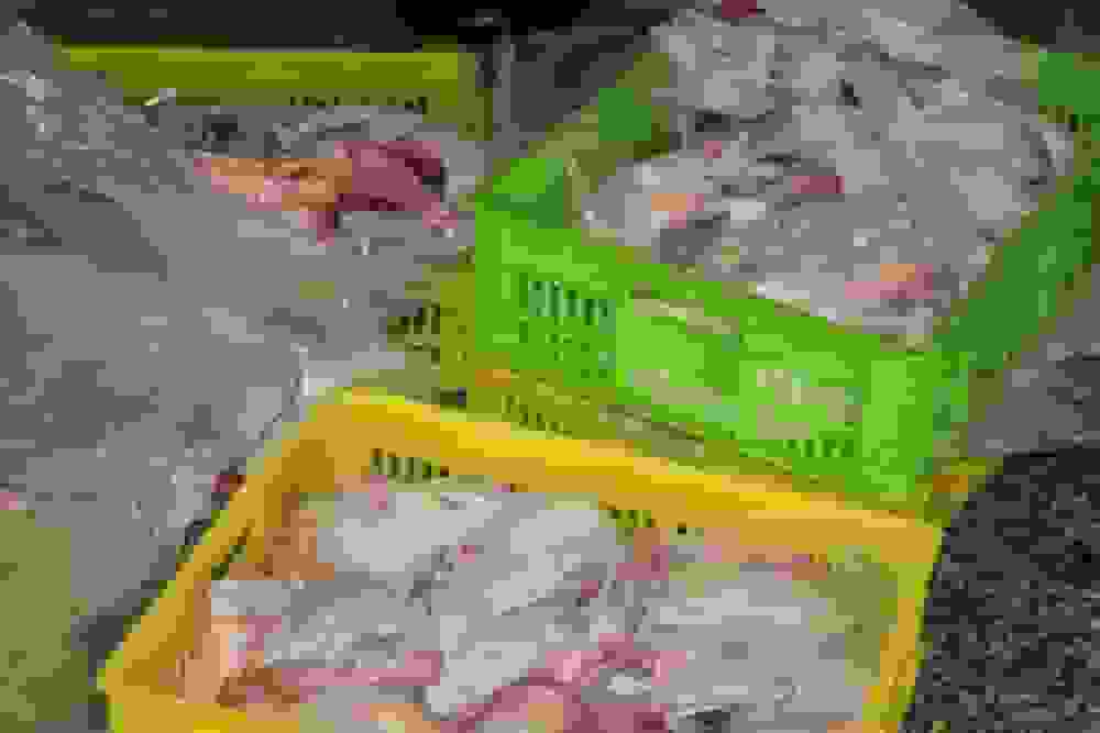 ضبط و معدوم‌سازی یک تن گوشت مرغ فاسد در بندرانزلی