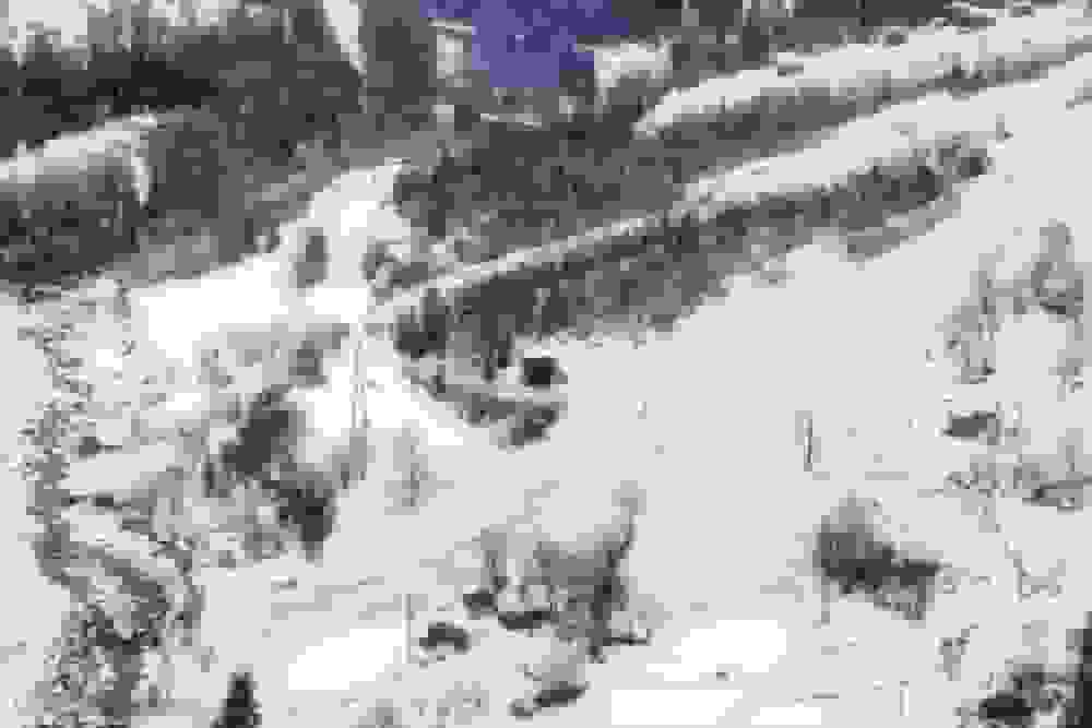 احتمال وقوع مجدد بهمن در ارتفاعات شیرباد