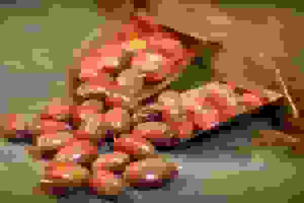 شفیعی: آذربایجان شرقی رتبه نخست تولید سنجد در کشور را دارد