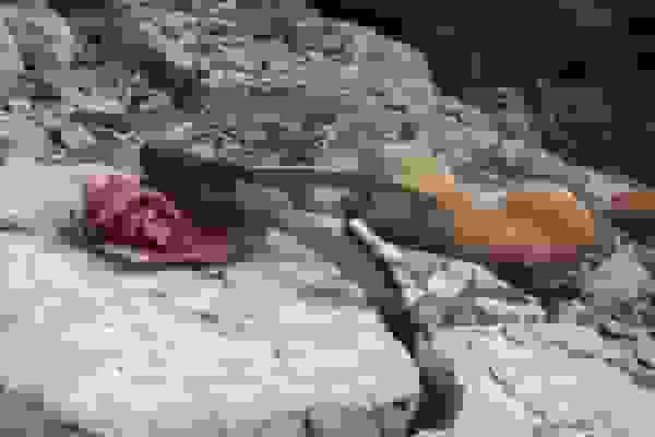 دستگیری ۲ گروه شکارچی غیرمجاز در تنکابن