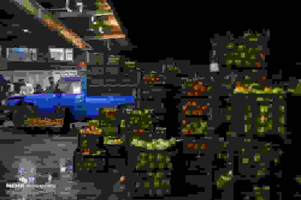 بازدید مدیرعامل سازمان تعاون روستایی از وضعیت میوه شب یلدا در میدان بار تهران