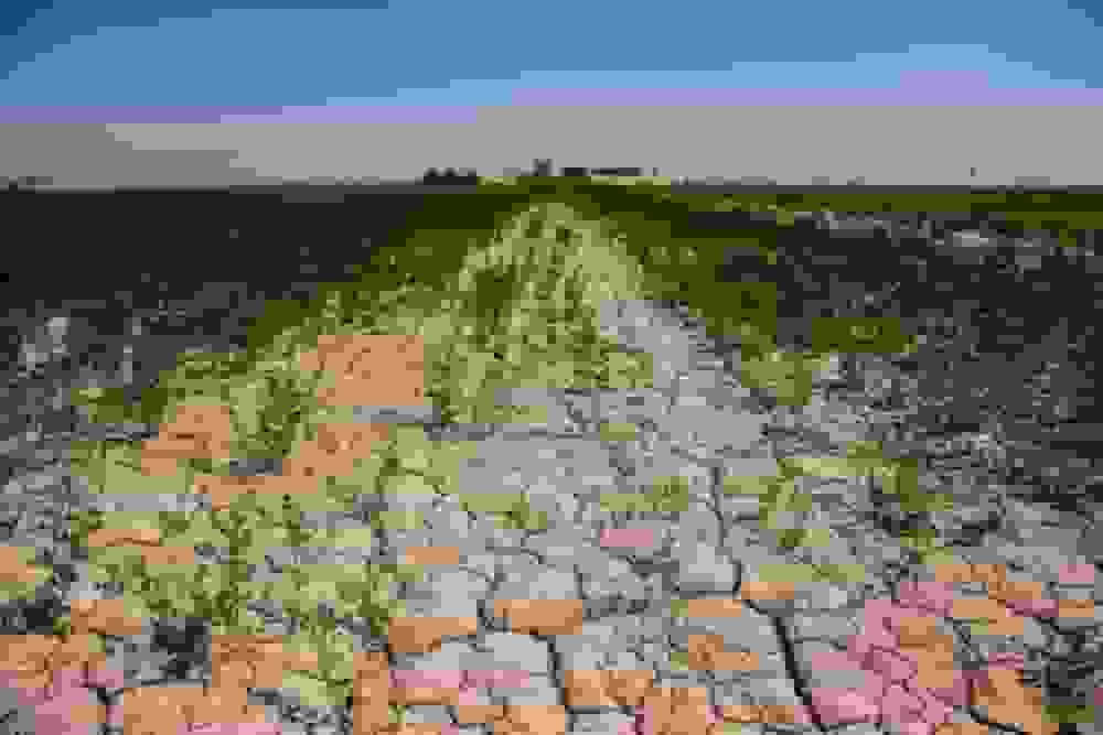 ضرورت تغییر به کشاورزی حفاظتی برای حفظ خاک و امنیت غذایی