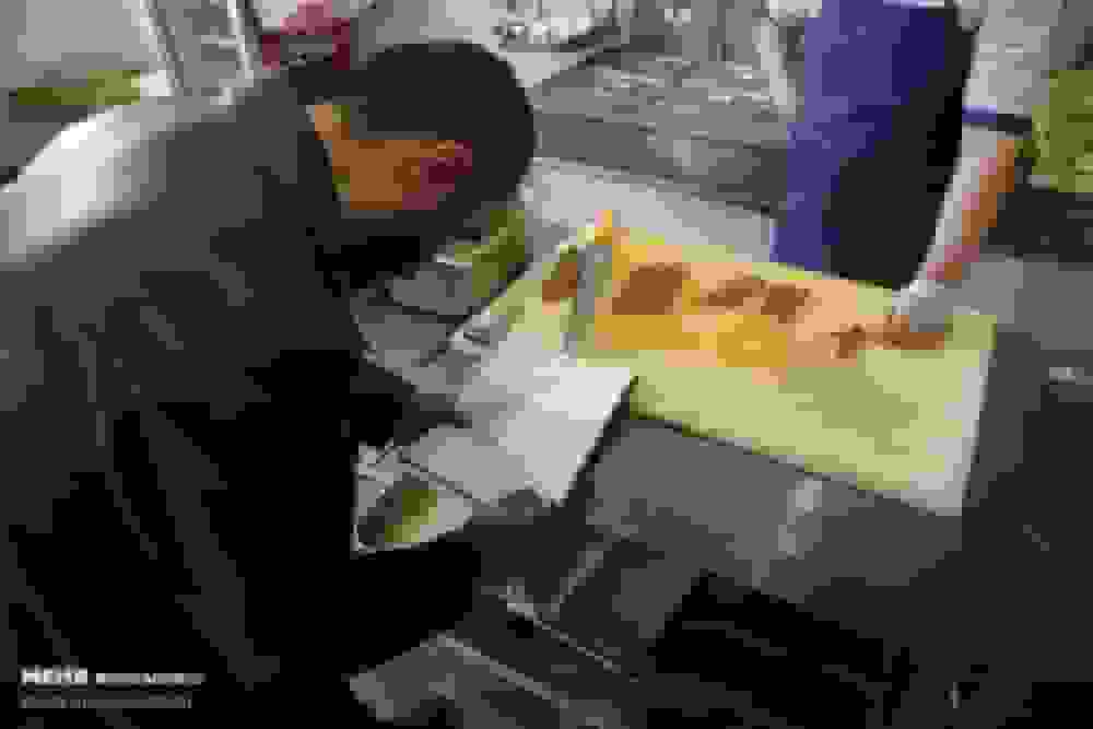 محکومیت ۲۲ هزار میلیاردی قاچاقچیان و اصناف متخلف در آذربایجان‌شرقی