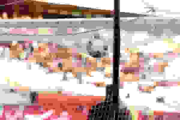 سقوط آزاد سرمایه اجتماعی در فوتبال ایران و تبدیل آن به بنگاه غارت اموال عمومی