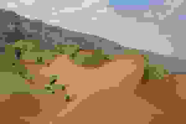 ارسال ۵۵ مقاله به دبیرخانه همایش بین‌المللی بیابان لوت