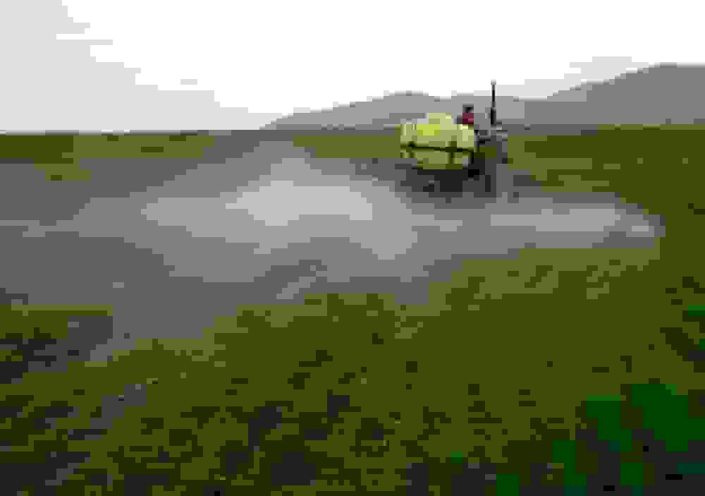 مانور ملی نظارت بر واحدهای کنترل عوامل قرنطینه‌ای گیاهی آغاز شد