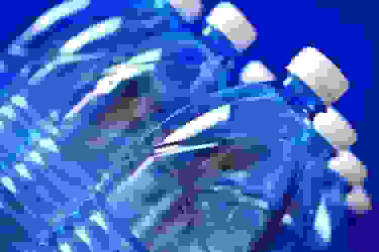 وجود میکروپلاستیک‌ها در تمام نوشیدنی‌های آزمایش‌شده