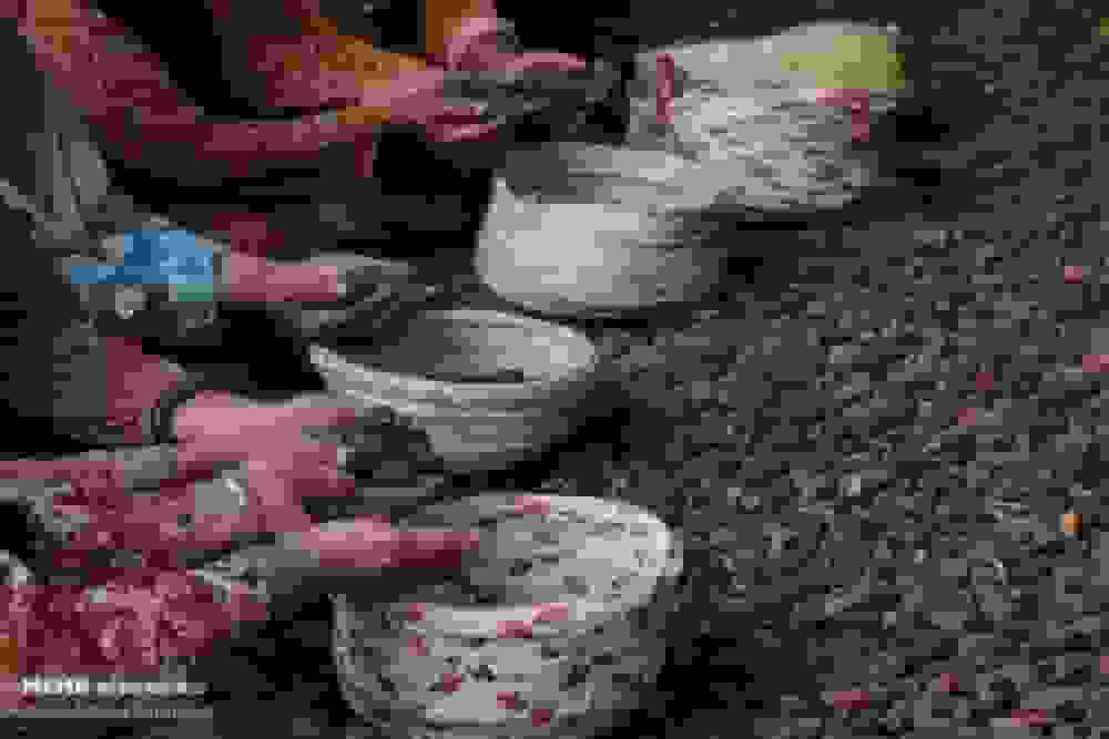 اینفوگرافیک؛ خاصیت‌های جادویی خرمای پیارم