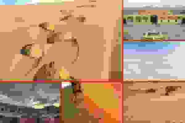 کویرهای اصفهان گرفتار گردشگری بی‌ضابطه؛ جولان سودجویان در فضای مجازی