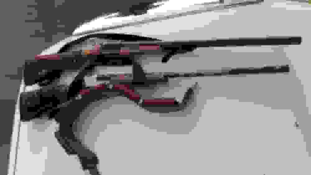 شکار غیرمجاز یک قلاده کفتار در طارم سفلی