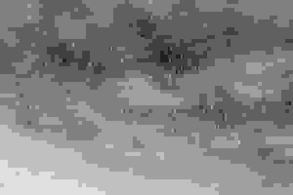 الهی: رگبار و کاهش دما خراسان رضوی را فرا می‌گیرد؛ احتمال بارش برف