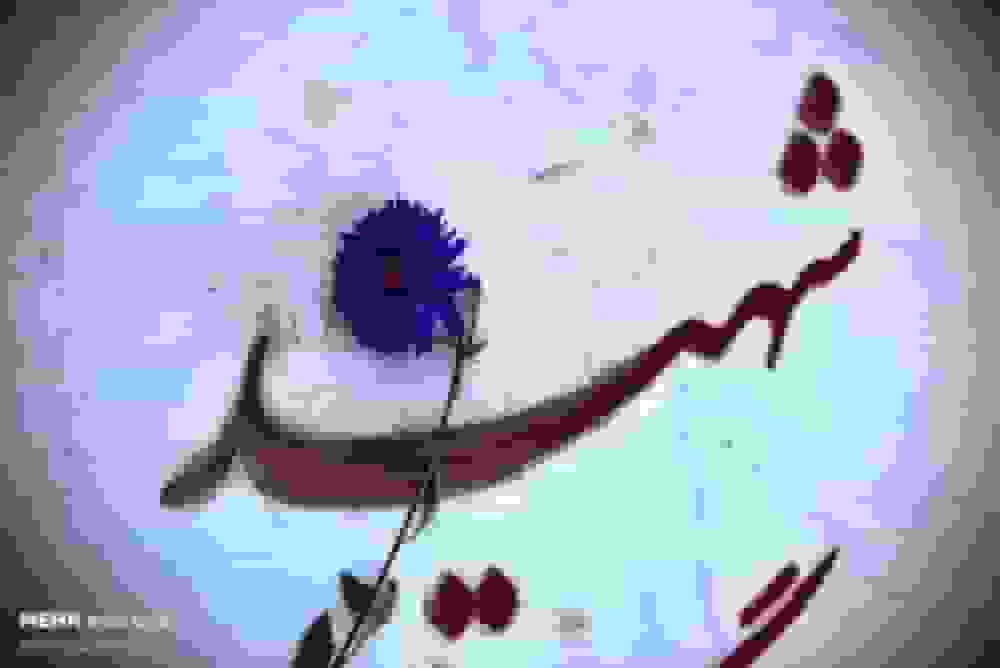 جهادگران فرهنگی جهاددانشگاهی با شهدای گمنام تجدید میثاق کردند