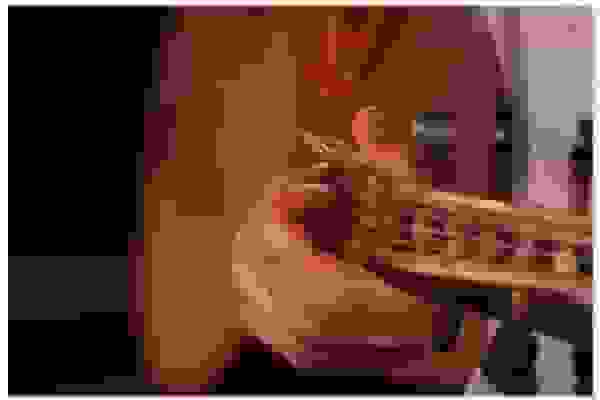 اجرای کنسرت «عشق سعدی» توسط گروه سور در پروژه طرز تازه