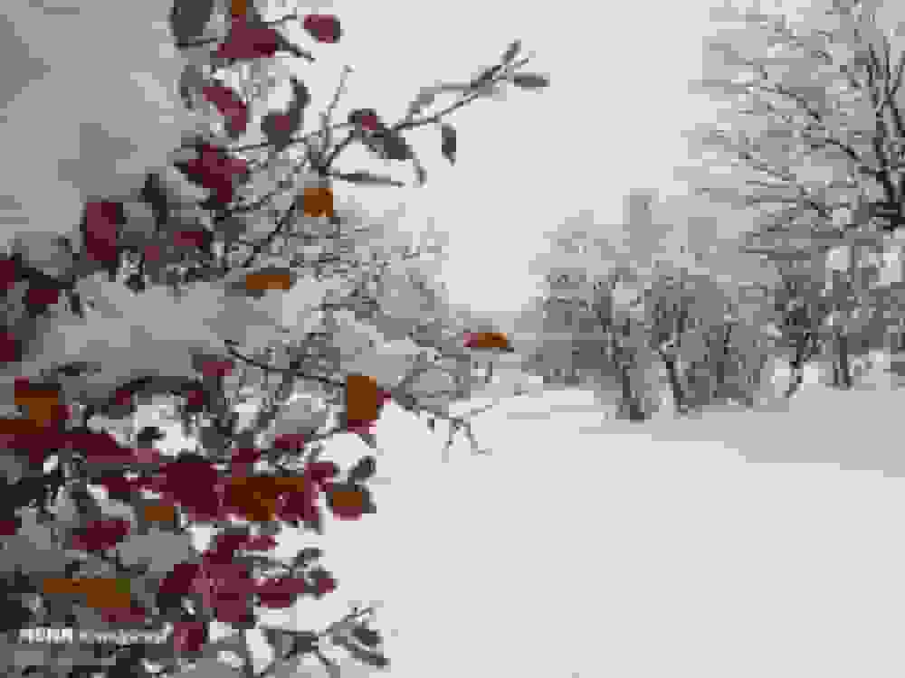 پیش‌بینی بارش برف در خوزستان و رگبار در برخی مناطق