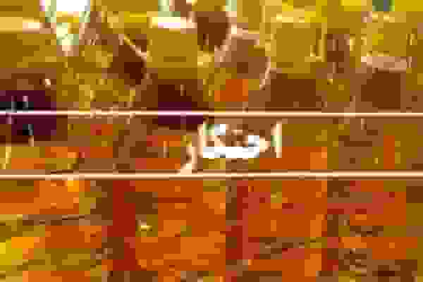 کشف انبار احتکار روغن خوراکی در هشتگرد