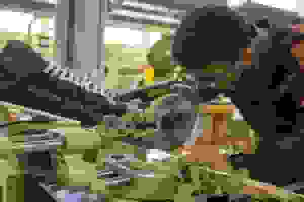 کمبود مهارت‌های اشتغال در بین دانش‌آموختگان ایرانی