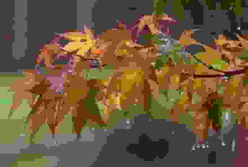 ورود نخستین موج بارشی پاییز به اصفهان