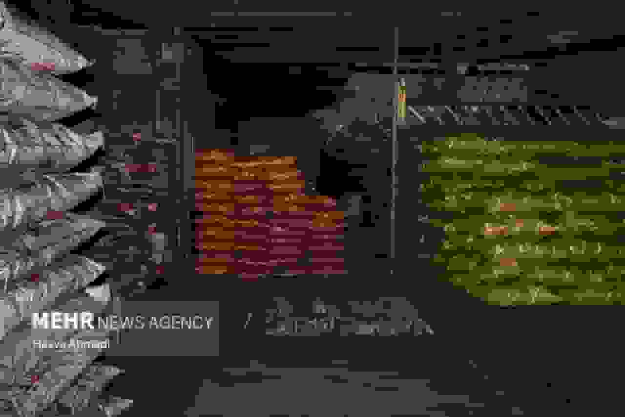 دستگیری متخلفین تهیه‌کننده زغال بلوط در خرم‌آباد