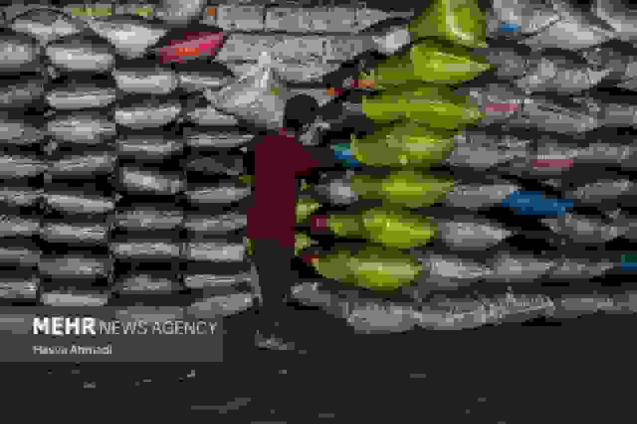 کشف ۱۴۰۰ کیلوگرم زغال بلوط قاچاق در الیگودرز