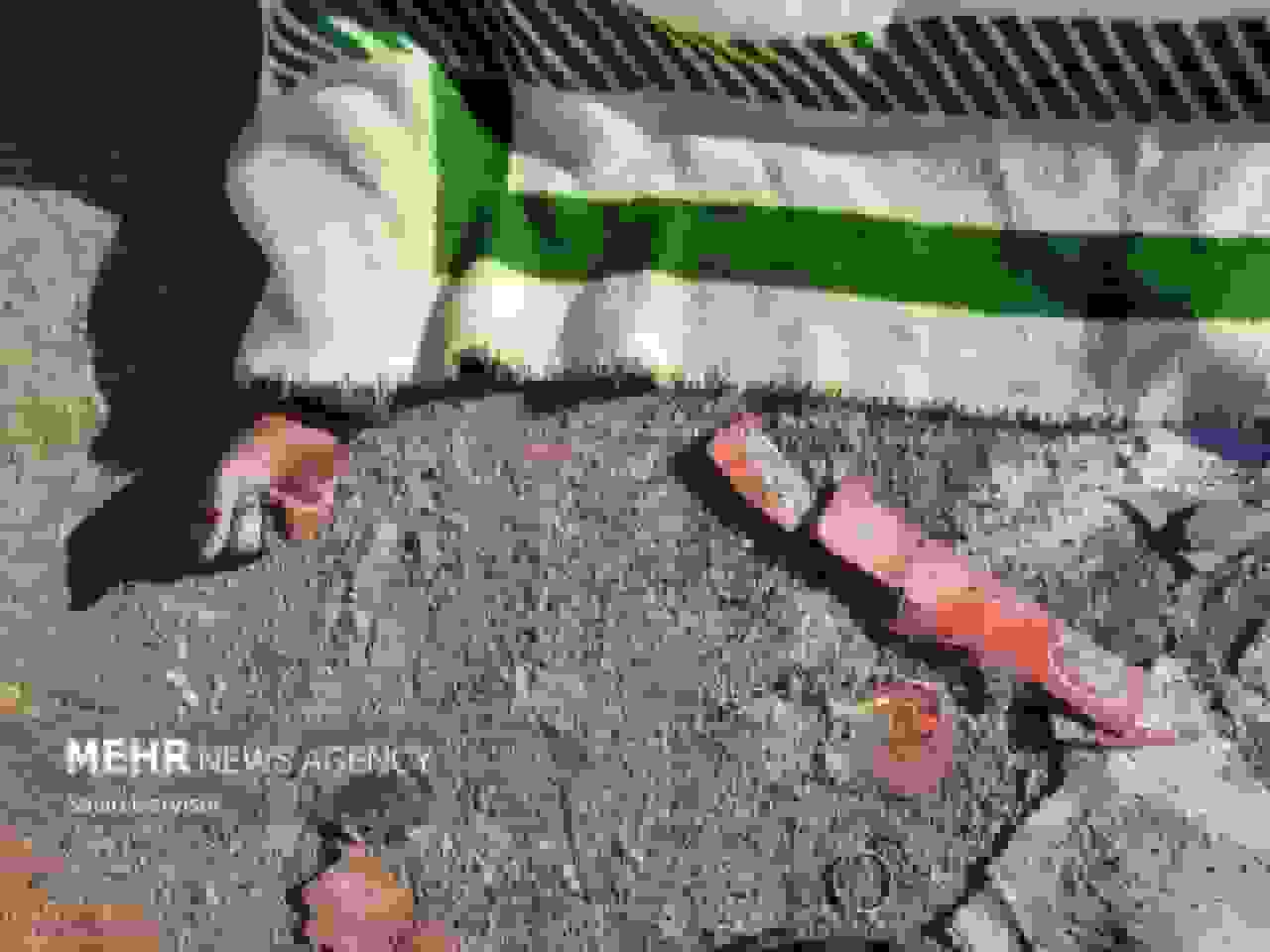 تصادف مرگبار در بزرگراه لشکری؛ ترس از سگ جان عابر پیاده را گرفت