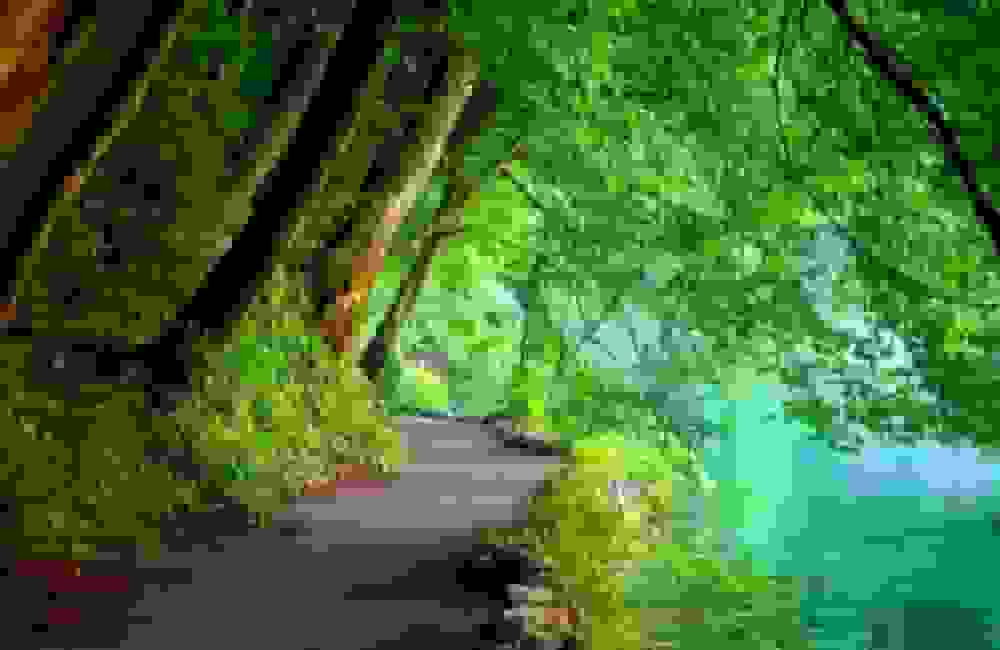 لذت‌های بهشتی و تفاوت آن با لذت‌های دنیوی از دیدگاه آیت‌الله مصباح یزدی