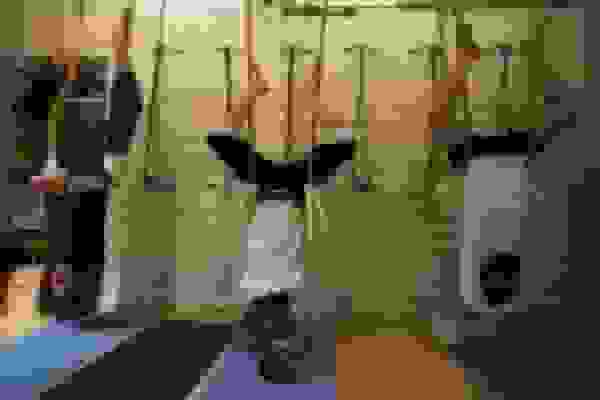 کمبود اطلاعات جوانان مسجدی درباره فرقه‌های انحرافی