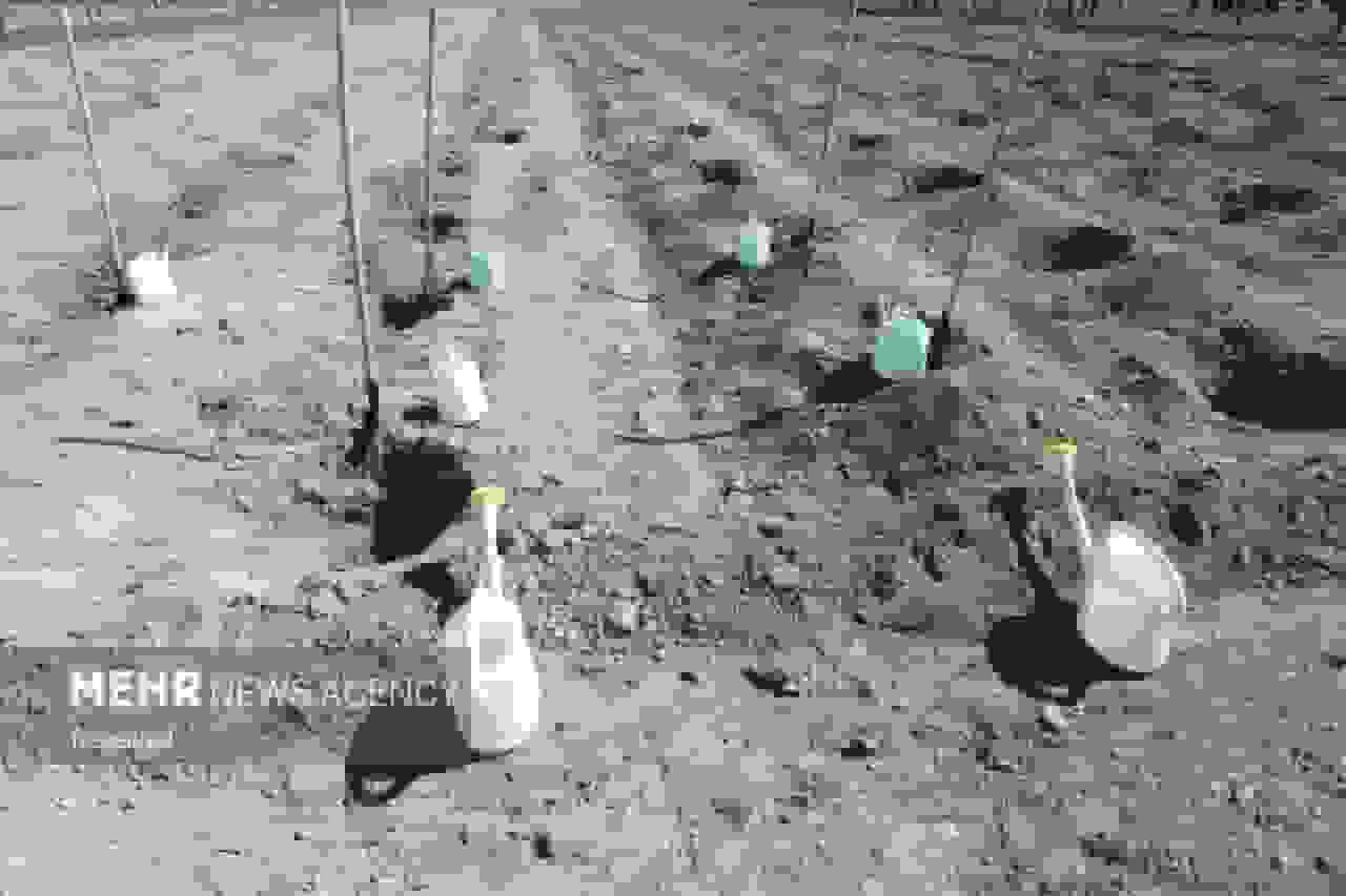 احداث ۵ هکتار فضای سبز بر محل دفن پسماند قدیم یزد