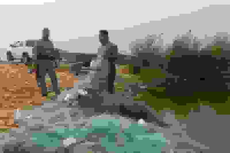 دستگیری گروه صیادان غیرمجاز شاه‌میگو در سد خمیران تیران و کرون