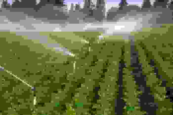 کاهش ۴۰ درصدی مصرف آب در آذربایجان شرقی با مشارکت مردمی