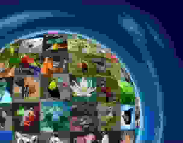 تنوع زیستی و برنامه‌های جهانی پیش‌رو