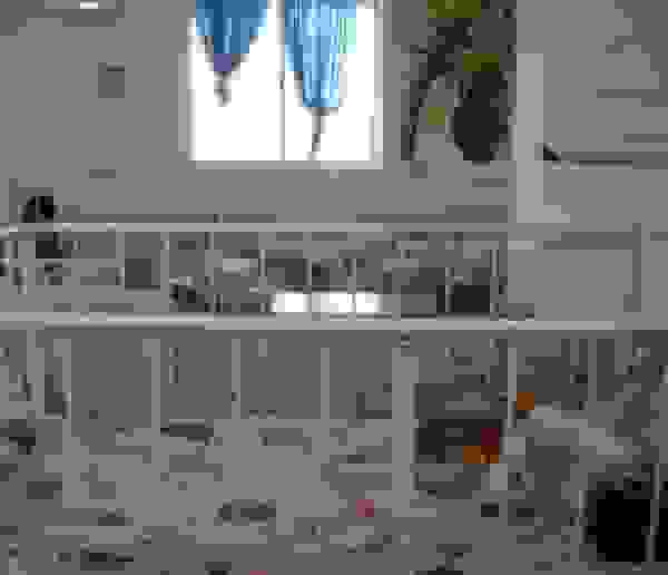 ضرب و شتم کودک معلول ۷ ساله در کلاردشت و انحلال موسسه متخلف